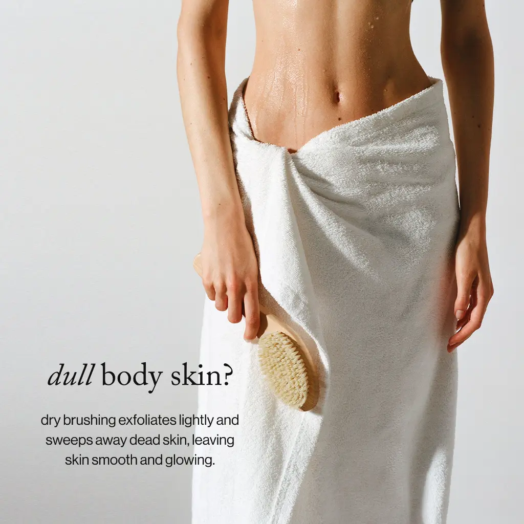 dry brush_imgCarousel_problem solution.webp